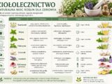 ziołolecznictwo
